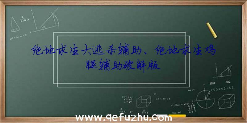 绝地求生大逃杀辅助、绝地求生鸡腿辅助破解版