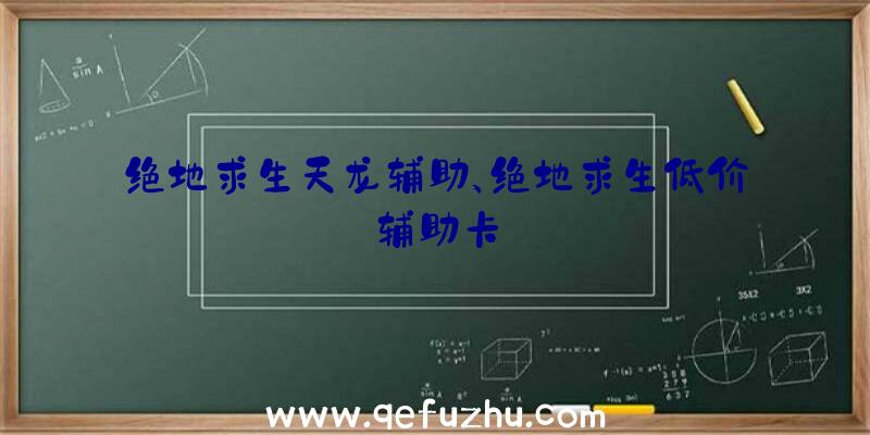 绝地求生天龙辅助、绝地求生低价辅助卡