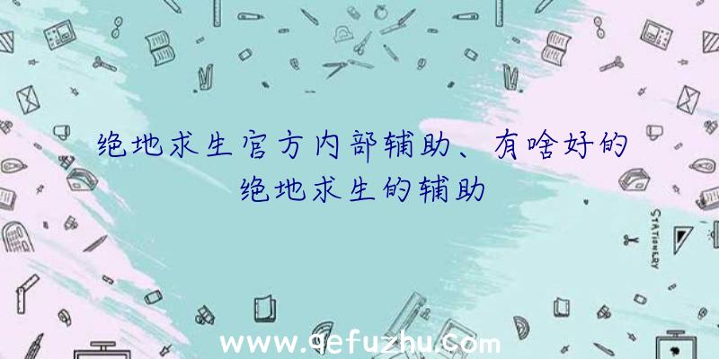 绝地求生官方内部辅助、有啥好的绝地求生的辅助