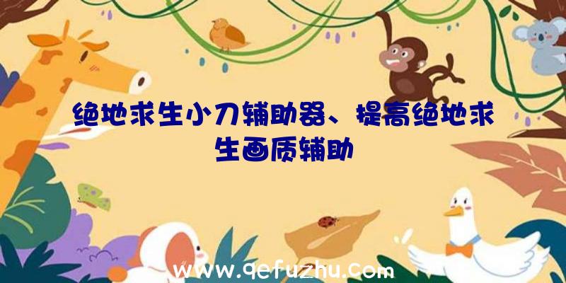 绝地求生小刀辅助器、提高绝地求生画质辅助