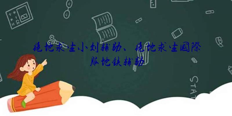 绝地求生小刘辅助、绝地求生国际服地铁辅助