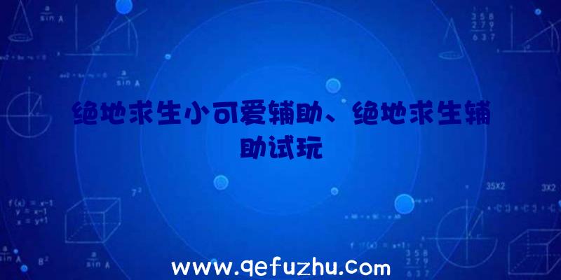 绝地求生小可爱辅助、绝地求生辅助试玩