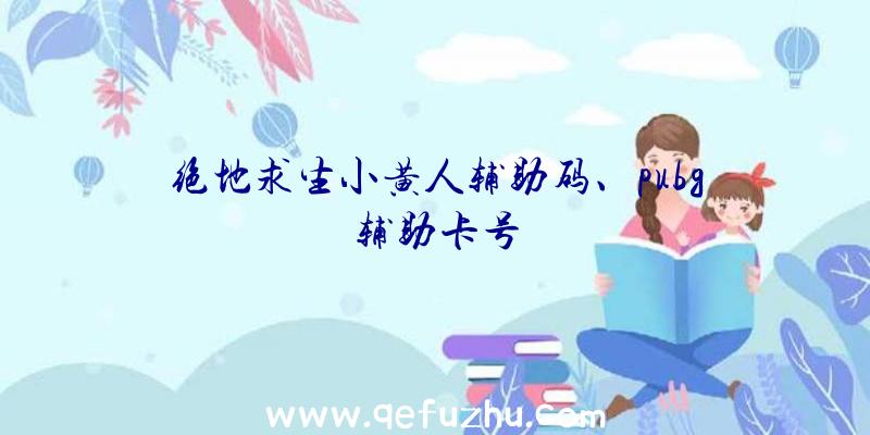 绝地求生小黄人辅助码、pubg辅助卡号