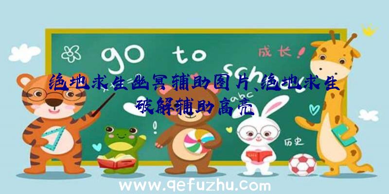 绝地求生幽冥辅助图片、绝地求生破解辅助高亮