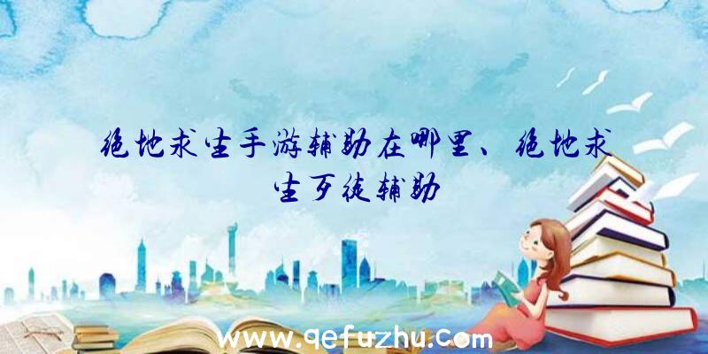 绝地求生手游辅助在哪里、绝地求生歹徒辅助