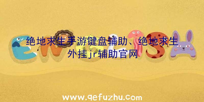 绝地求生手游键盘辅助、绝地求生外挂jr辅助官网