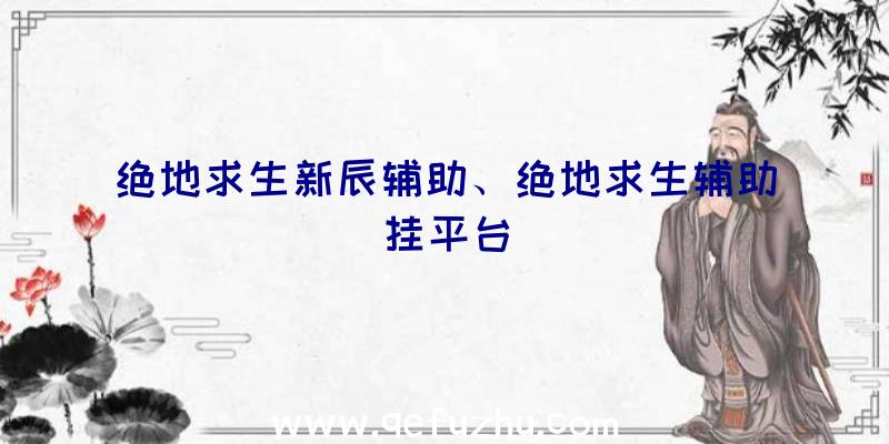 绝地求生新辰辅助、绝地求生辅助挂平台