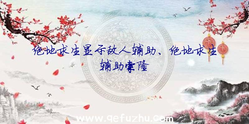 绝地求生显示敌人辅助、绝地求生辅助索隆