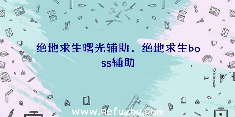 绝地求生曙光辅助、绝地求生boss辅助