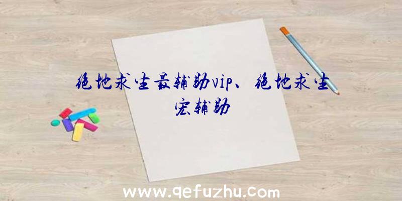 绝地求生最辅助vip、绝地求生宏辅助