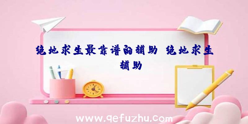 绝地求生最靠谱的辅助、绝地求生wk辅助