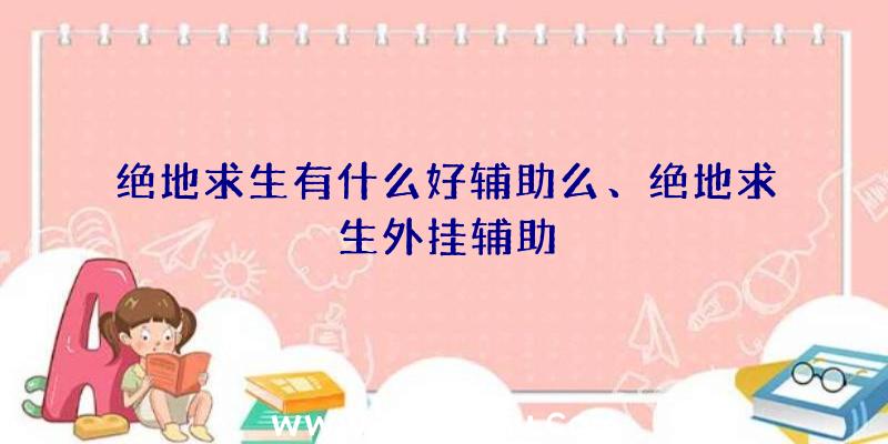 绝地求生有什么好辅助么、绝地求生外挂辅助
