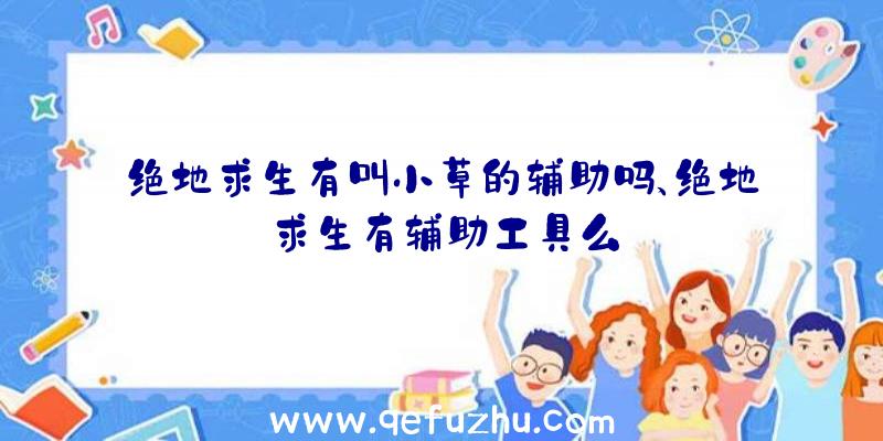 绝地求生有叫小草的辅助吗、绝地求生有辅助工具么
