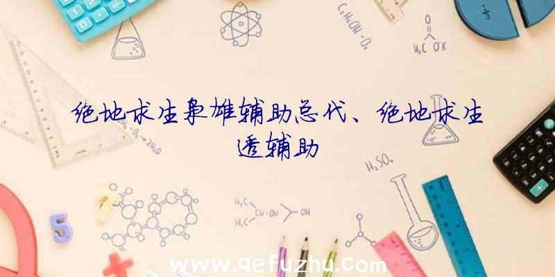 绝地求生枭雄辅助总代、绝地求生透辅助
