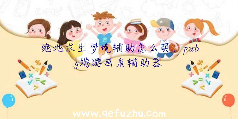 绝地求生梦境辅助怎么买、pubg端游画质辅助器