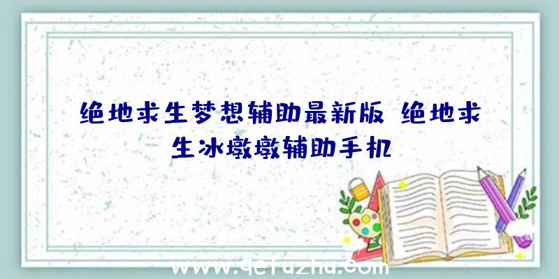 绝地求生梦想辅助最新版、绝地求生冰墩墩辅助手机