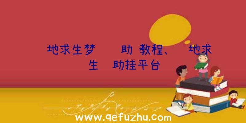 绝地求生梦魇辅助