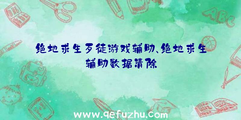 绝地求生歹徒游戏辅助、绝地求生辅助数据清除