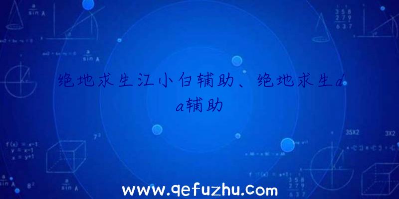 绝地求生江小白辅助、绝地求生da辅助