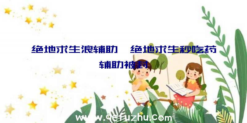 绝地求生浪辅助、绝地求生秒吃药辅助被封