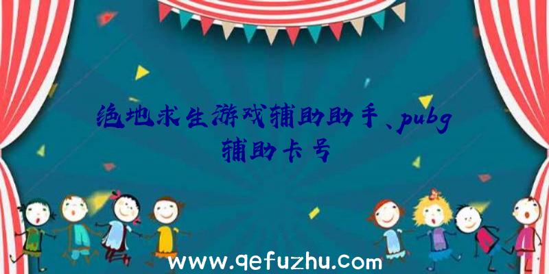 绝地求生游戏辅助助手、pubg辅助卡号