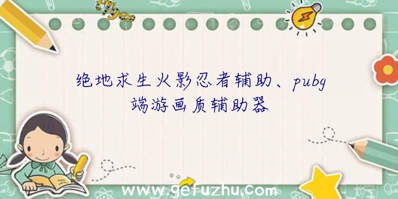 绝地求生火影忍者辅助、pubg端游画质辅助器