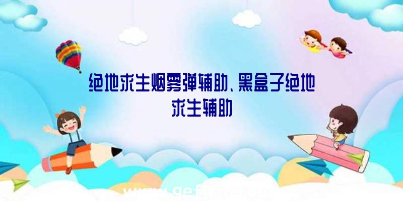 绝地求生烟雾弹辅助、黑盒子绝地求生辅助