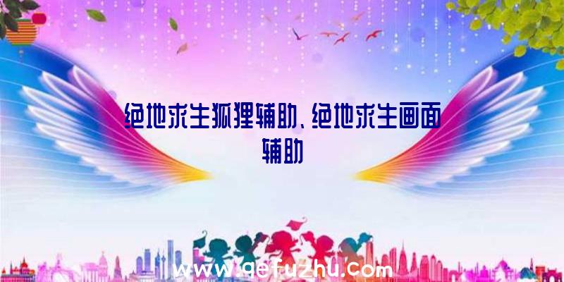 绝地求生狐狸辅助、绝地求生画面辅助