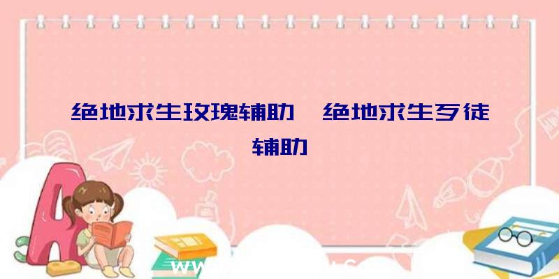 绝地求生玫瑰辅助、绝地求生歹徒辅助