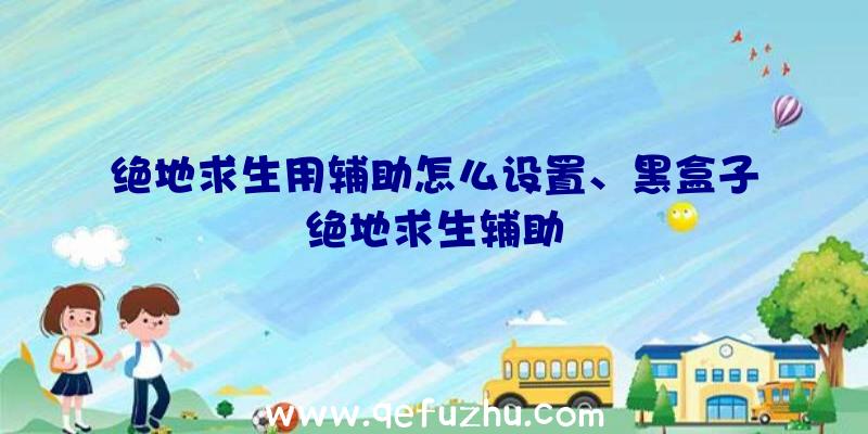绝地求生用辅助怎么设置、黑盒子绝地求生辅助