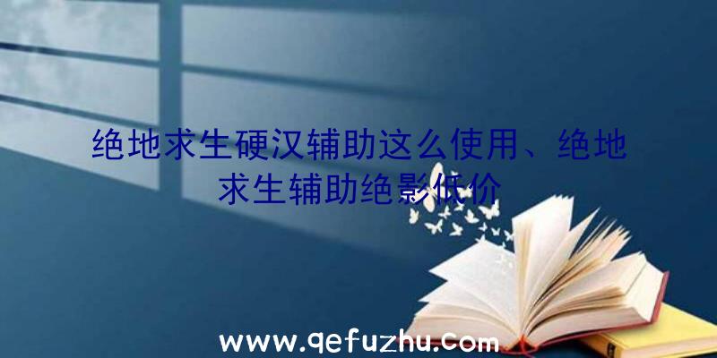 绝地求生硬汉辅助这么使用、绝地求生辅助绝影低价