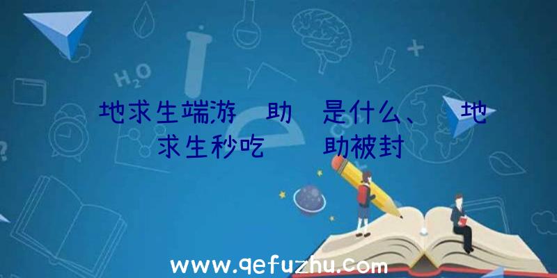 绝地求生端游辅助线是什么、绝地求生秒吃药辅助被封