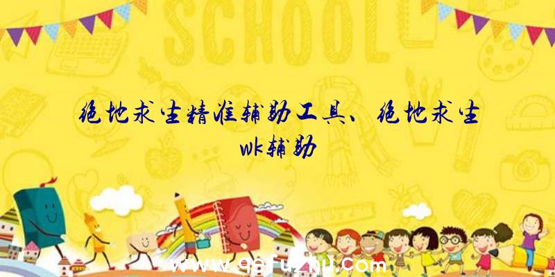 绝地求生精准辅助工具、绝地求生wk辅助