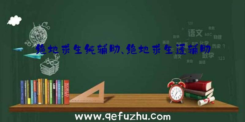绝地求生纯辅助、绝地求生透辅助