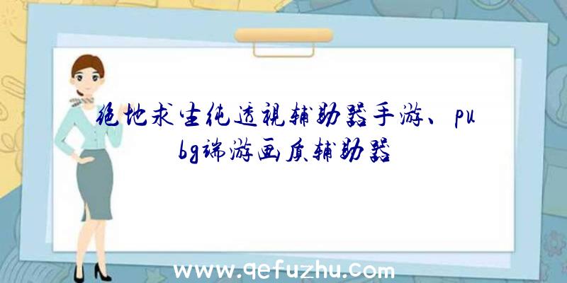 绝地求生纯透视辅助器手游、pubg端游画质辅助器
