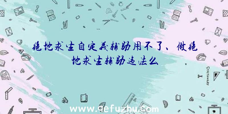 绝地求生自定义辅助用不了、做绝地求生辅助违法么