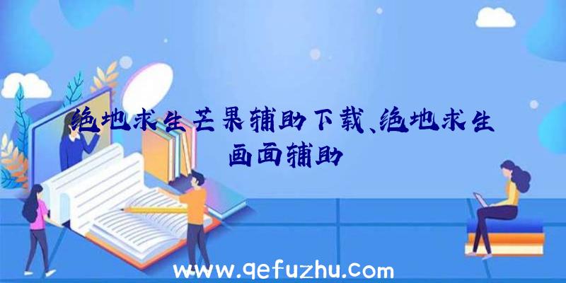 绝地求生芒果辅助下载、绝地求生画面辅助