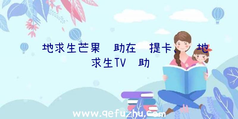 绝地求生芒果辅助在线提卡、绝地求生TV辅助