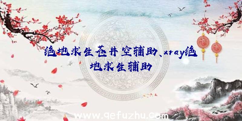 绝地求生苍井空辅助、xray绝地求生辅助