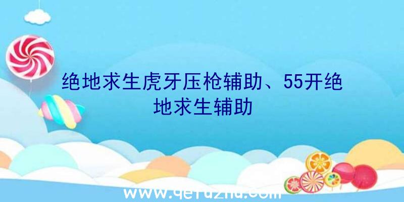 绝地求生虎牙压枪辅助、55开绝地求生辅助