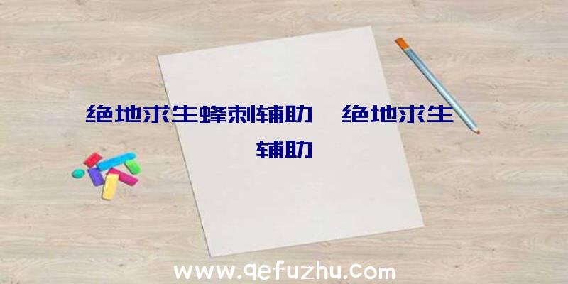 绝地求生蜂刺辅助、绝地求生迪迦辅助