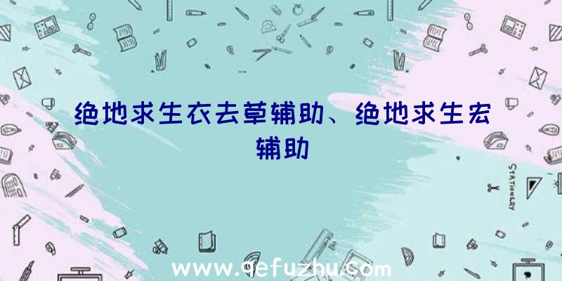 绝地求生衣去草辅助、绝地求生宏辅助