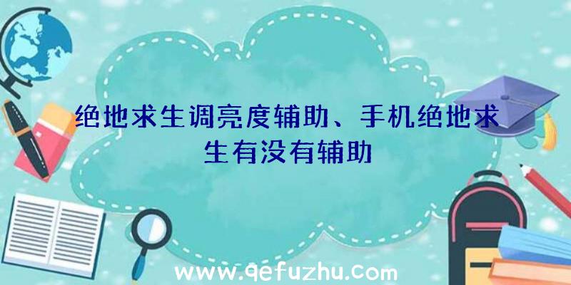 绝地求生调亮度辅助、手机绝地求生有没有辅助