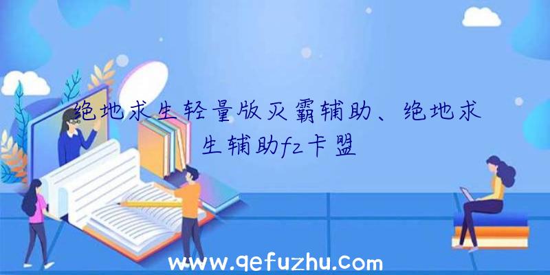 绝地求生轻量版灭霸辅助、绝地求生辅助fz卡盟