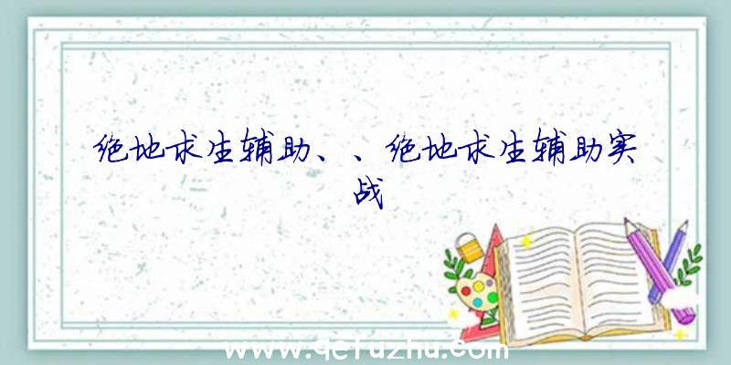 绝地求生辅助、、绝地求生辅助实战
