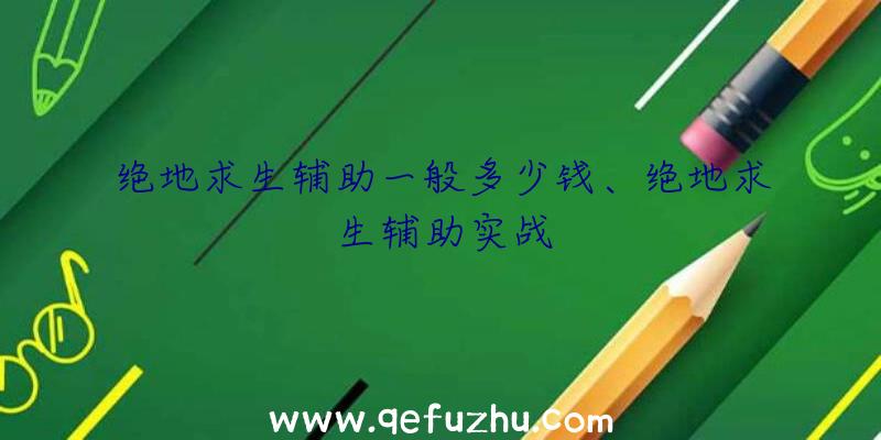 绝地求生辅助一般多少钱、绝地求生辅助实战