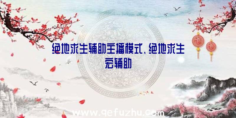 绝地求生辅助主播模式、绝地求生宏辅助