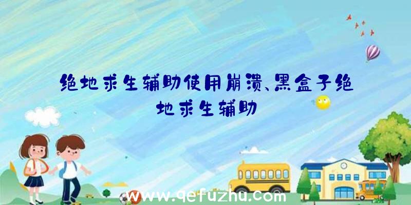 绝地求生辅助使用崩溃、黑盒子绝地求生辅助