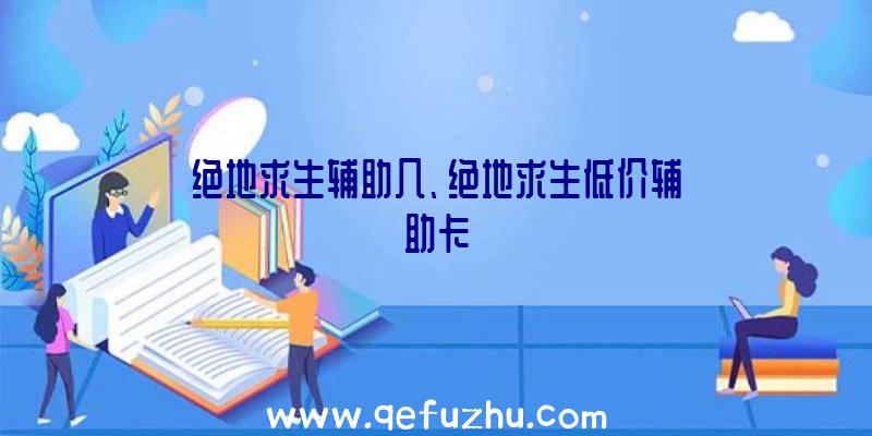 绝地求生辅助几、绝地求生低价辅助卡