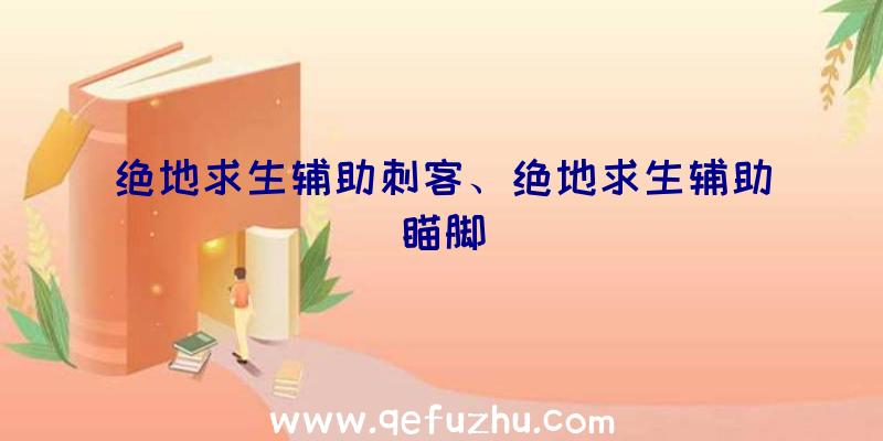 绝地求生辅助刺客、绝地求生辅助瞄脚